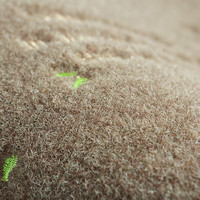 ACEBON入户门地垫进门门口门垫家用吸水防滑脚垫可裁剪垫子耐脏厨房垫 棕色幸运草 80*120