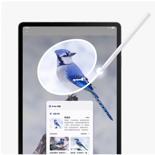 SAMSUNG 三星 Galaxy Tab S10 FE+ 13.0英寸 Android 平板电脑（2880*1800、12GB、256GB、WiFi版、清雅灰）
