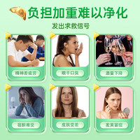 南京同仁堂葛根灵芝片成人中老年搭肝损喝酒熬夜护伤肝片适用脂肪熬夜口苦臭