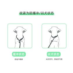 TINGHAO 狗狗牵引绳训犬p链防爆冲打结遛狗绳p绳中大型犬狗绳金毛宠物用品