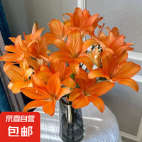 百合 单瓣多头亚百合  3支9朵花苞   颜色随机3枝