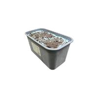东北大板冰淇淋多口味大桶装雪糕冰糕餐饮商用挖球冰激凌