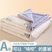 梦之语 亲肤夏凉被单双人夏被夏季被子被芯可水洗空调被宿舍夏被春秋被 儿童夏被