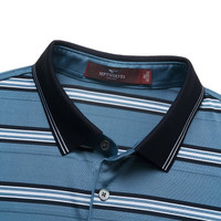 七匹狼短袖T恤男夏季薄款桑蚕丝商务polo保罗衫冰感翻领短t男装打底衫 103(灰蓝)-2707 S (160)