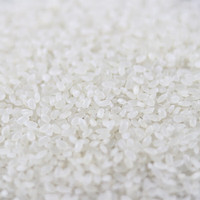 米多宝【清香稻大米500g】米香浓厚粒粒精选当季新米主食饭珍珠米 清香稻500gx3袋