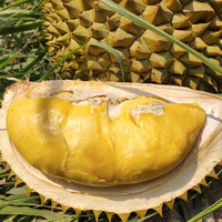 松筱金枕榴莲新鲜整个果【JD顺丰多地次日达】带壳水果进口应季水果 3-4斤精选好果型【3-4房】
