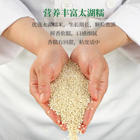 同庆楼老字号粽子豆沙蛋黄鲜肉蜜枣梅菜鲜肉粽高汤粽礼盒装