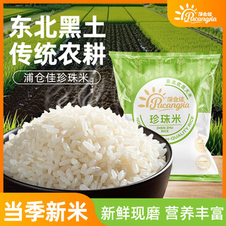 蒲仓佳东北产区大米珍珠米当季新米粳米颗粒饱满软糯独立包装年货稻米 【两斤优选装】珍珠米500g*2袋
