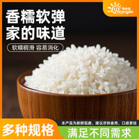 蒲仓佳东北产区大米珍珠米当季新米粳米颗粒饱满软糯独立包装年货稻米 【十斤家庭装】珍珠米1箱装