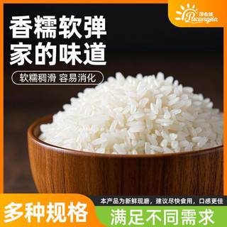 蒲仓佳东北产区大米珍珠米当季新米粳米颗粒饱满软糯独立包装年货稻米 【两斤优选装】珍珠米500g*2袋
