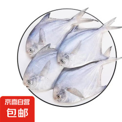 京喜加 白鲳鱼新鲜冷冻小鲳鱼1kg 含冰25%