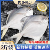 京喜加白鲳鱼新鲜冷冻银鲳鱼深海鱼鲜活鱼鲳鱼海鲜小银鲳鱼少冰衣 小鲳鱼2kg 含冰25%【21~28条装】