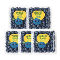 共雅 特大果 蓝莓 5盒 单果18mm+