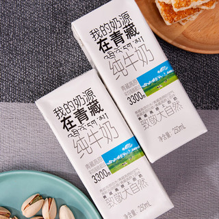小西牛 全脂灭菌乳 250ml*10盒 纯牛奶