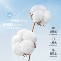 棉致男童裤子夏季薄款2025a类全棉透气男孩防蚊裤儿童运动裤 【冰丝凉感】纯色清凉绿