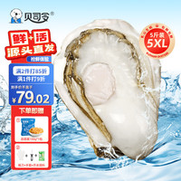 贝司令 乳山福海生蚝鲜活牡蛎海鲜贝类5XL号净重5斤 8+只装 5XL净重5斤