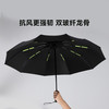 玩度十骨自动晴雨伞