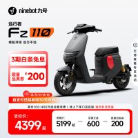 九号 Fz 110 电动自行车 TDT136Z