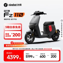 九号 Fz 110 电动自行车 TDT136Z