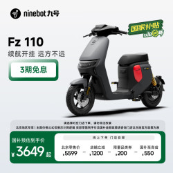 九号 Fz 110 电动自行车 TDT136Z