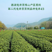 西湖龙冠【真西湖龙井】金碗钉G60雀舌级 2025新茶上市 送礼礼盒