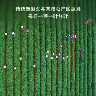西湖龙冠【真西湖龙井】龙冠春晓T30特级100g 2025新茶 精致罐装自饮 T30单罐100g