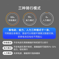 凤凰电助力自行车可提电动自行车男女士成人电瓶车电单车