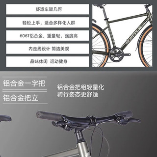  BATTLE/邦德富士达 14速变速 公路自行车 变速碟刹