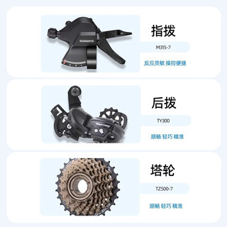  BATTLE/邦德富士达 14速变速 公路自行车 变速碟刹
