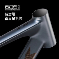 千里达(TRINX)龙卷风600雨燕L5桶轴弯把公路车油碟成人男女学生公路自行车 *480mm,推荐170-180cm左右