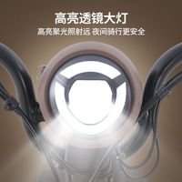 【王一博代言】台铃淘淘电动车两轮自行车小型成人代步电瓶车