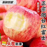 京地达烟台红富士苹果生鲜水果净重8.5斤单果200g+源头直发 精选大果8.5斤|单果80mm+