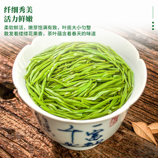 至鼎茶叶 碧螺春绿茶 2025新茶茶 可冷泡鲜爽回甘源头直发