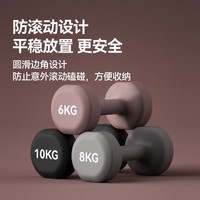 朗威哑铃纯铁家用男女士力量训练器材锻炼初学者练臂肌亚铃一对 丁香紫 8KG *2只