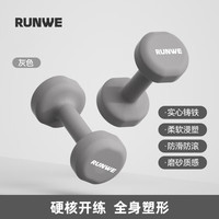 朗威哑铃纯铁家用男女士力量训练器材锻炼初学者练臂肌亚铃一对 灰色 6KG *2只
