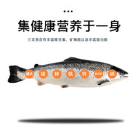 尝鲜生 冰鲜挪威三文鱼整条(大西洋鲑)10-12斤刺身/整条三文鱼 冰鲜半条装 2kg -2.25kg 带边角料