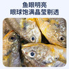 卖鱼七郎 冷冻海捕小黄鱼 黄花鱼深海鱼生鲜鱼类烧烤食材