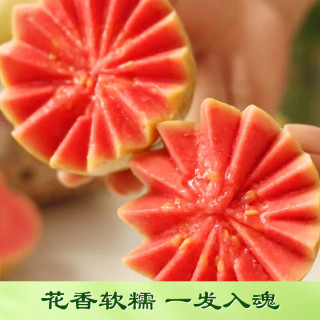 国家补贴：京鲜生 树熟软糯 红心芭乐  脆爽白心芭乐 130g+  4个装