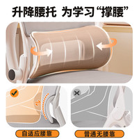 依恋达 人力工学 电脑椅 乳胶垫 白框粉网【乳胶垫 无头枕】 四脚椅