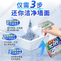 花王(KAO)强力除霉剂360ml浴室墙面墙体除霉喷雾啫喱瓷砖卫浴清洁清洗剂 360ml 1瓶 花香型