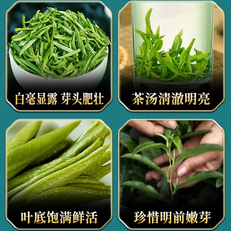  WARMTEA/汪满田 明前嫩芽 绿茶