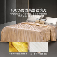 罗莱生活 LUOLAI 100%桑蚕丝被夏被 被子被芯 长丝透气提花被面 【抗菌+100%桑蚕丝】浮光跃影 200*230cm 夏被