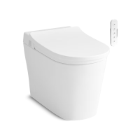 科勒（KOHLER）星逸智能坐便器智能马桶一体机自动翻盖创新前后双冲水科勒女王座 305mm坑距+喷嘴替换装（四联包）