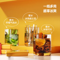 乐博乐博冰块模具食品级长条薯条冰格家用冰箱贴磁吸自制冻冰条储存盒 6只冰格+1个磁吸盒 秒变冰箱贴