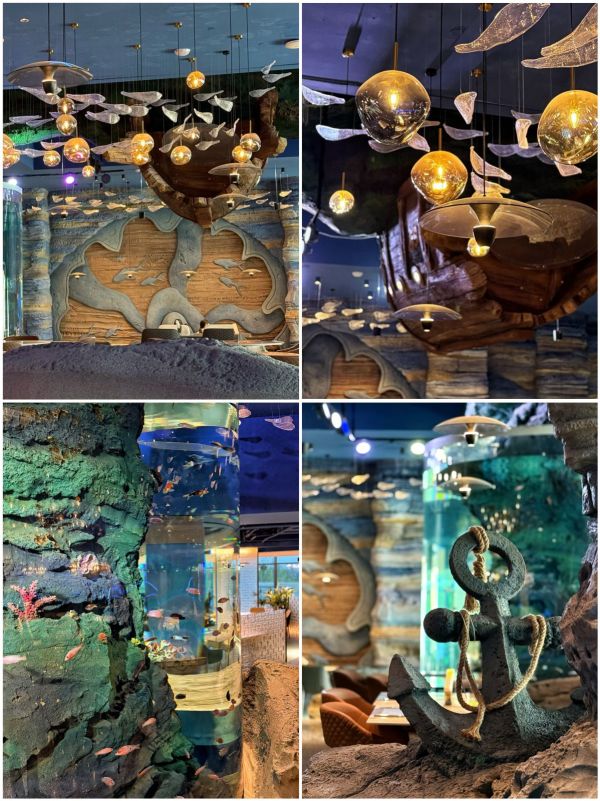 高铁4小时直达森泊新分号,轻松实现海景海鲜自由!山东日照开元森泊酒店新店开业套餐(附探店报告)