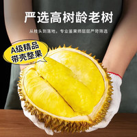 田良季泰国金枕榴莲【JD/】新鲜金枕头带果带壳品端午节 【品质级】30年老树果丨更划算 【80%选丨品质装】4-5斤 包4-5房