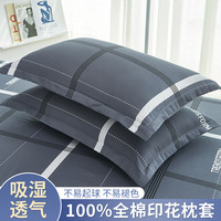 全棉枕套48x74cm一对装100%棉枕套家用床上用品成人换洗枕套2只