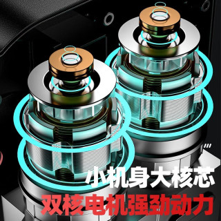 德力西 电气（DELIXI ELECTRIC）充电式锂电池浇水农用新型浇地抽水泵灌溉抽水机电动自吸浇菜