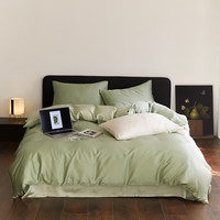 AIDLI A类60支奥地利进口兰精天丝100%莱赛尔四件套 200*230cm