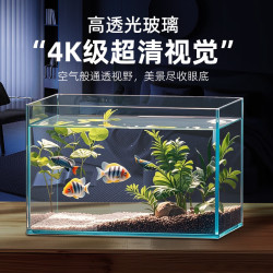 坤宁王 金晶超白玻璃鱼缸 60*30*35
